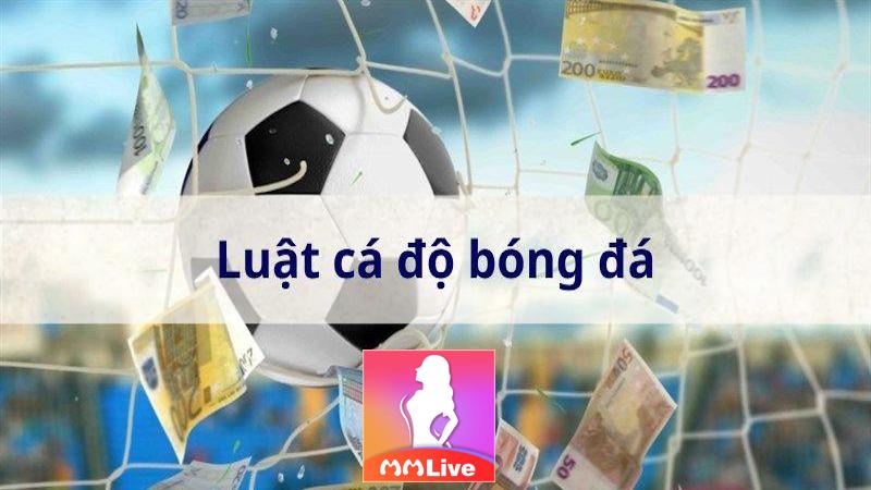 Luật cá độ bóng đá